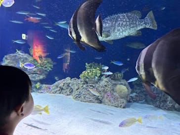 マリンワールド海の中道に投稿された画像（2023/9/18）