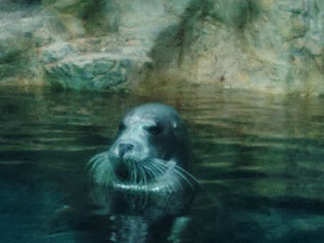 大分マリーンパレス水族館 「うみたまご」に投稿された画像（2023/9/18）