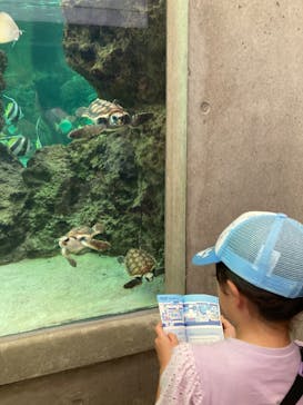 鴨川シーワールドに投稿された画像（2023/9/18）