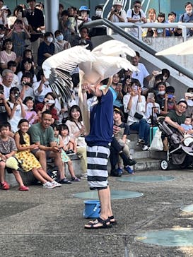 大分マリーンパレス水族館 「うみたまご」に投稿された画像（2023/9/18）