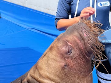 大分マリーンパレス水族館 「うみたまご」に投稿された画像（2023/9/18）