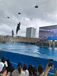 名古屋港水族館に投稿された画像（2023/9/18）
