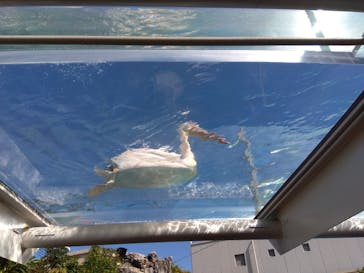 サンシャイン水族館に投稿された画像（2023/9/18）