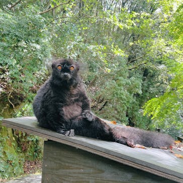 長崎バイオパークに投稿された画像（2023/9/18）