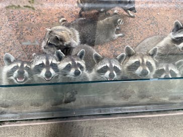 長崎バイオパークに投稿された画像（2023/9/18）