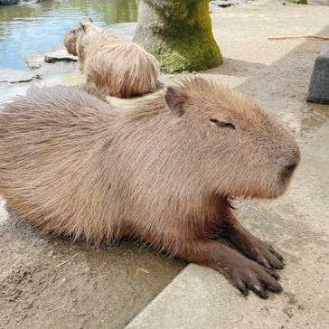 長崎バイオパークに投稿された画像（2023/9/18）