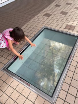 徳島県立 渦の道に投稿された画像（2023/9/18）