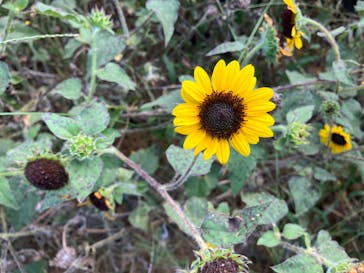 成田ゆめ牧場に投稿された画像（2023/9/18）