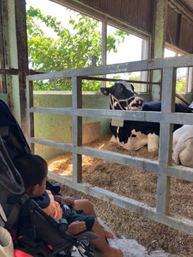 成田ゆめ牧場に投稿された画像（2023/9/18）