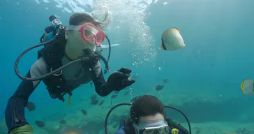 武藤潜水に投稿された画像（2023/9/18）