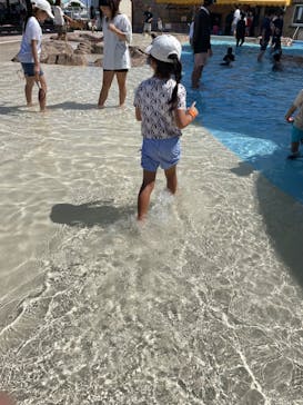 志摩市浜島磯体験施設 海ほおずきに投稿された画像（2023/9/18）