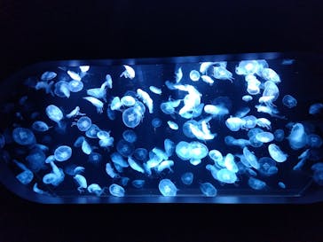 AOAO SAPPOROに投稿された画像（2023/9/18）