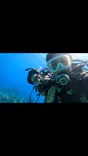 武藤潜水に投稿された画像（2023/9/18）