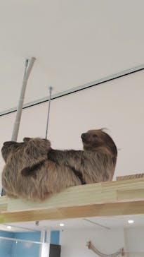 アニタッチアクアシティお台場に投稿された画像（2023/9/18）