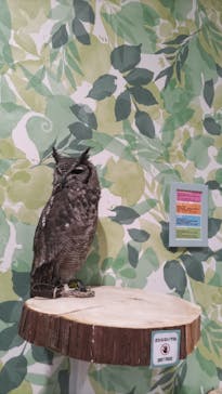 アニタッチアクアシティお台場に投稿された画像（2023/9/18）