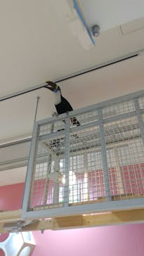 アニタッチアクアシティお台場に投稿された画像（2023/9/18）