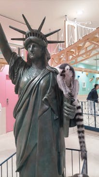 アニタッチアクアシティお台場に投稿された画像（2023/9/18）