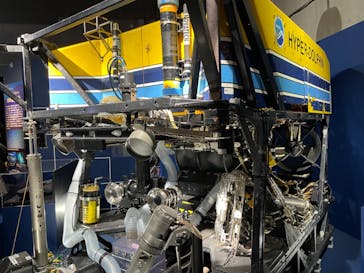 特別展「海　―生命のみなもと―」（国立科学博物館）に投稿された画像（2023/9/18）