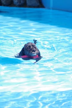 わんダフルネイチャーヴィレッジに投稿された画像（2023/9/18）