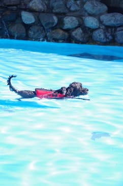 わんダフルネイチャーヴィレッジに投稿された画像（2023/9/18）