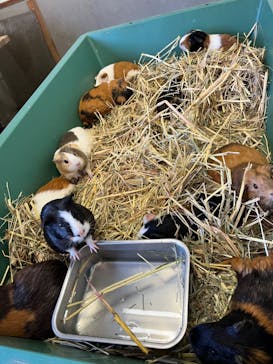 アロハガーデンたてやまに投稿された画像（2023/9/18）