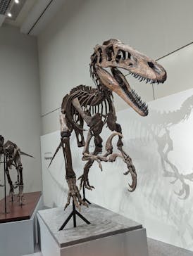 大阪市立自然史博物館に投稿された画像（2023/9/18）