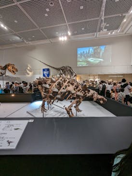 大阪市立自然史博物館に投稿された画像（2023/9/18）