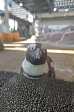 京都水族館に投稿された画像（2023/9/18）