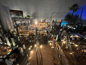 福井県立恐竜博物館に投稿された画像（2023/9/18）