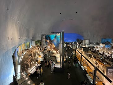 福井県立恐竜博物館に投稿された画像（2023/9/18）