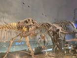 福井県立恐竜博物館に投稿された画像（2023/9/18）