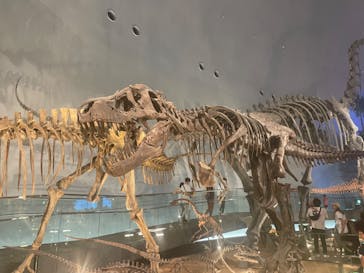 福井県立恐竜博物館に投稿された画像（2023/9/18）
