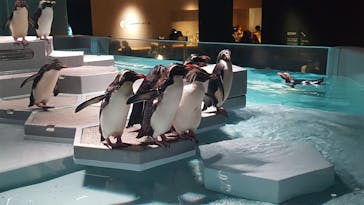 AOAO SAPPOROに投稿された画像（2023/9/18）