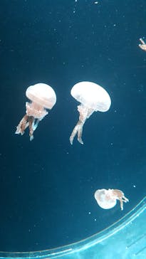 AOAO SAPPOROに投稿された画像（2023/9/18）