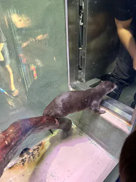 マクセル アクアパーク品川に投稿された画像（2023/9/18）