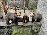 のぼりべつクマ牧場に投稿された画像（2023/9/18）