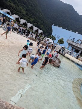 大分マリーンパレス水族館 「うみたまご」に投稿された画像（2023/9/18）