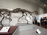 大阪市立自然史博物館に投稿された画像（2023/9/18）