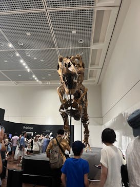 大阪市立自然史博物館に投稿された画像（2023/9/18）