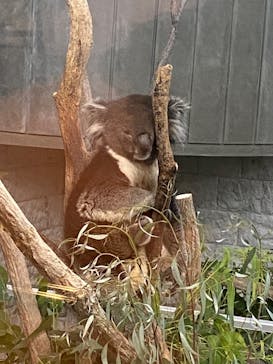 淡路ファームパーク イングランドの丘に投稿された画像（2023/9/18）