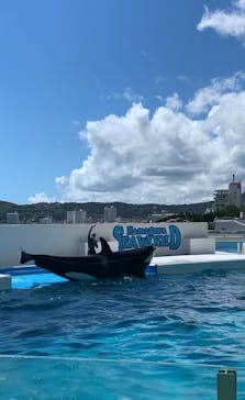 鴨川シーワールドに投稿された画像（2023/9/18）