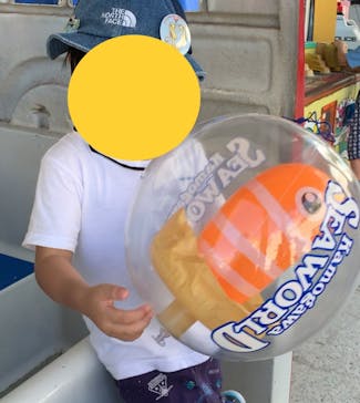 鴨川シーワールドに投稿された画像（2023/9/18）