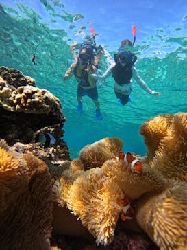 宮古島 ADVENTURE PiPi（ミヤコジマ アドベンチャー ピピ）に投稿された画像（2023/9/18）