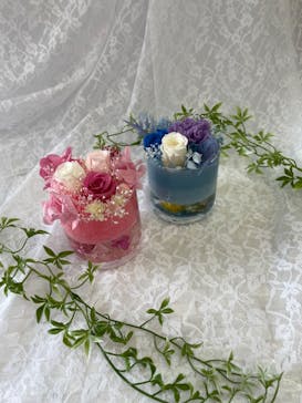 ずこうしつ〜sugamo〜に投稿された画像（2023/9/18）