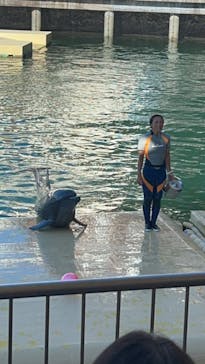 伊豆・三津シーパラダイスに投稿された画像（2023/9/18）