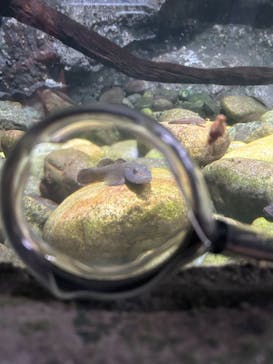 伊豆・三津シーパラダイスに投稿された画像（2023/9/18）