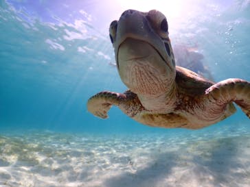 ちゃこたびに投稿された画像（2023/9/18）