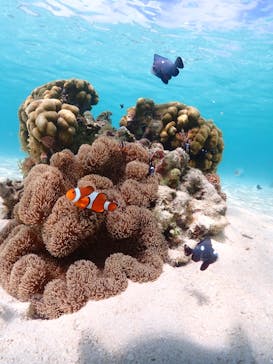 ちゃこたびに投稿された画像（2023/9/18）