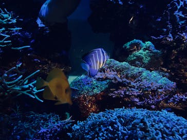 マリンワールド海の中道に投稿された画像（2023/9/18）