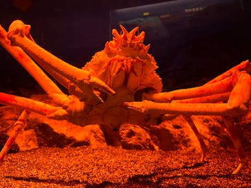 マリンワールド海の中道に投稿された画像（2023/9/18）